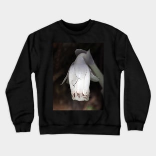 Monotropa uniflora (Indian pipe plant) flower close-up Crewneck Sweatshirt